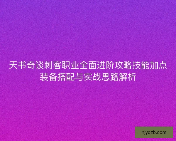 天书奇谈刺客职业全面进阶攻略技能加点装备搭配与实战思路解析